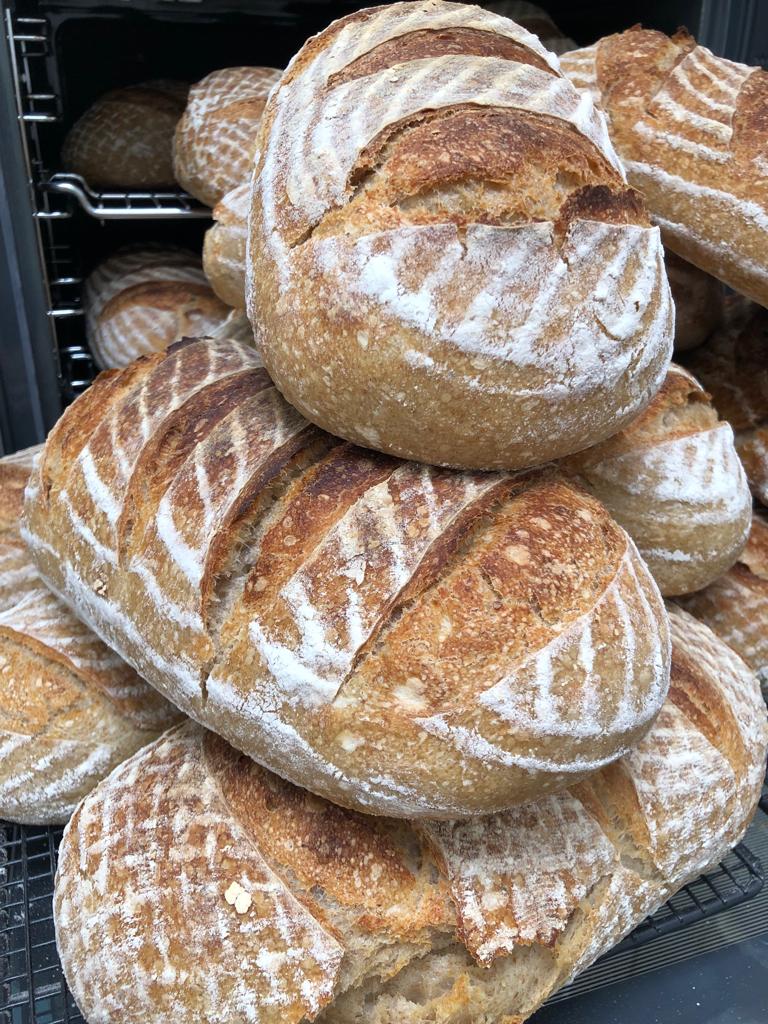 Organic Sourdough Breads